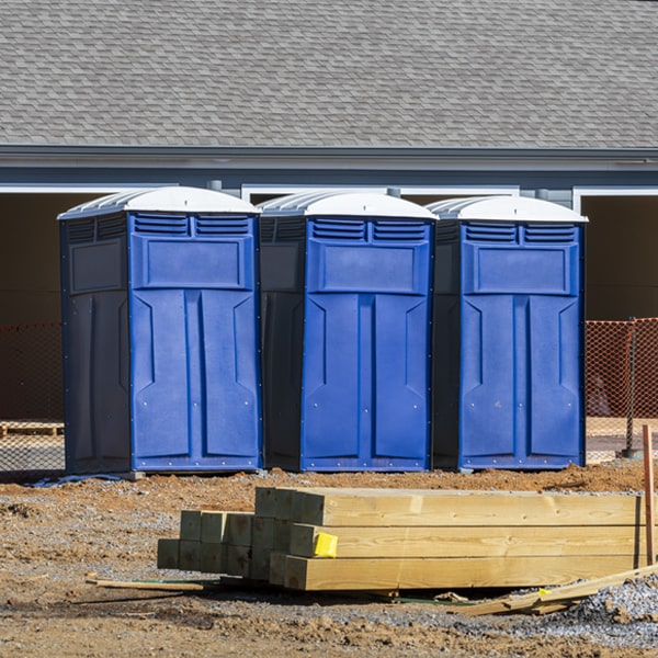 how often are the porta potties cleaned and serviced during a rental period in Holyoke MN